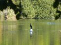 2011-10-20 10-27-30 Rando Parc de La Courneuve CGn